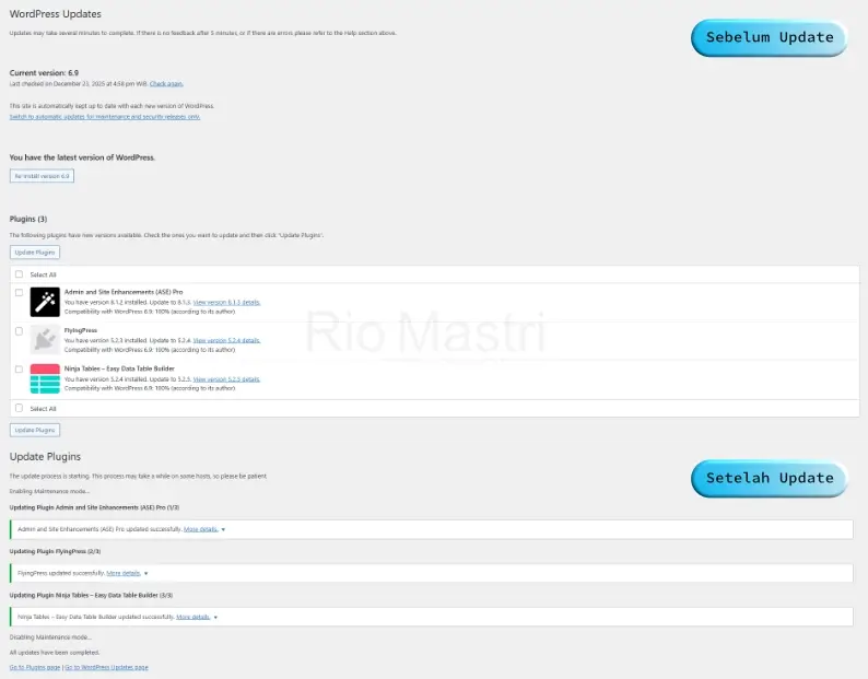 Gabungan Tampilan Halaman Update Plugin WordPress