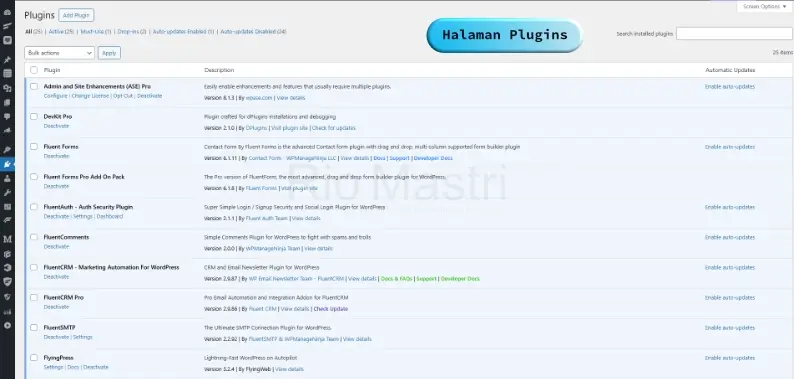 Tampilan Halaman Plugin WordPress